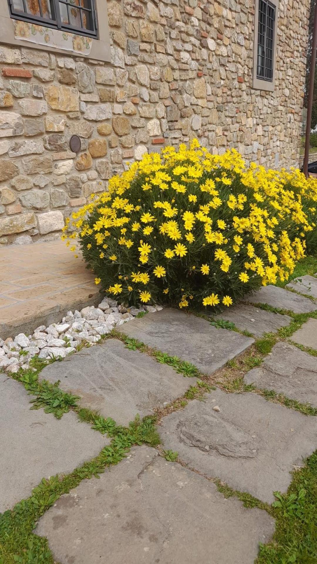 Agriturismo Circugnano Grassina Exterior photo
