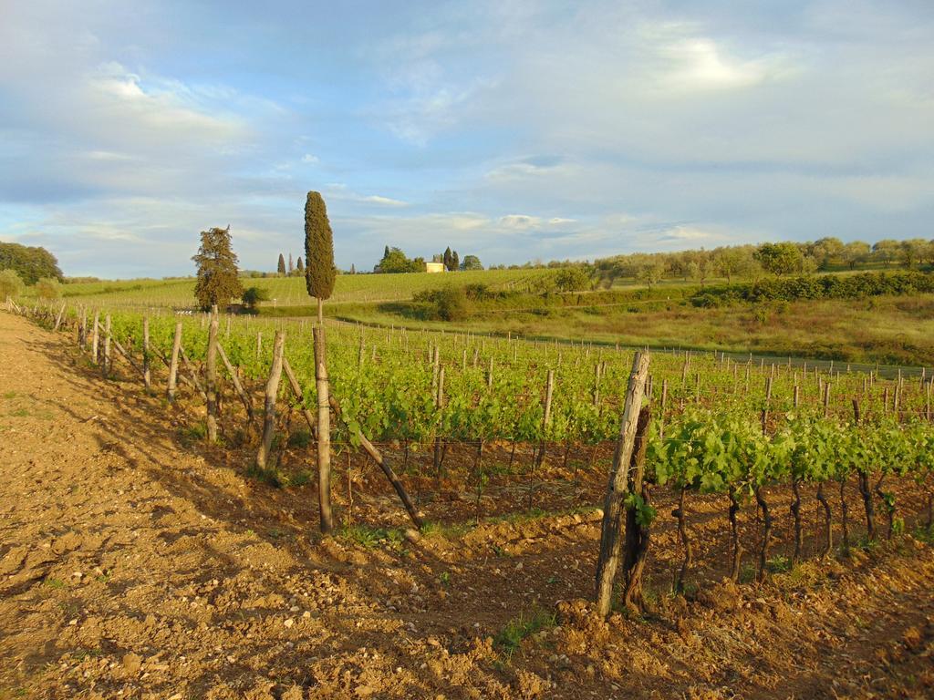Agriturismo Circugnano Grassina Exterior photo